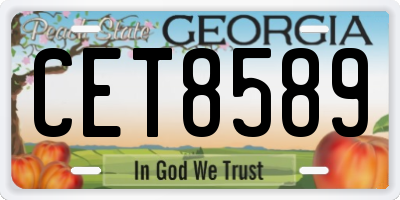 GA license plate CET8589