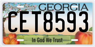 GA license plate CET8593