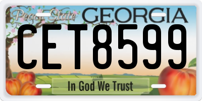 GA license plate CET8599