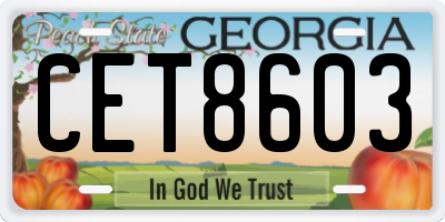 GA license plate CET8603