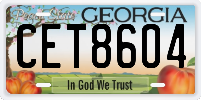 GA license plate CET8604