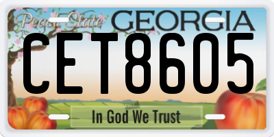 GA license plate CET8605
