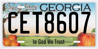 GA license plate CET8607