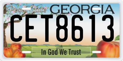 GA license plate CET8613