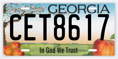 GA license plate CET8617