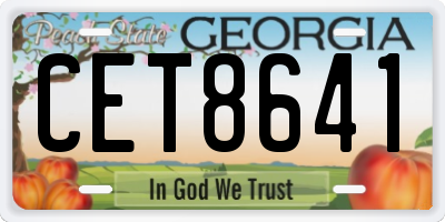 GA license plate CET8641