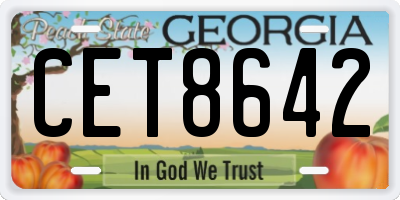 GA license plate CET8642