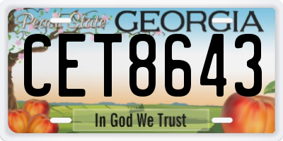 GA license plate CET8643