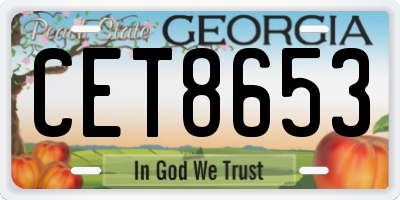 GA license plate CET8653