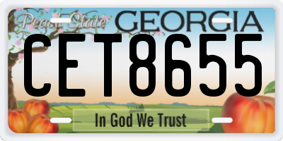 GA license plate CET8655