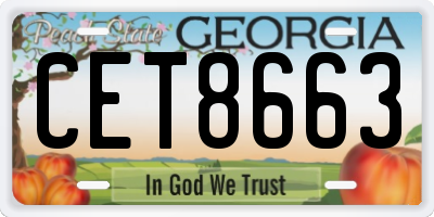 GA license plate CET8663