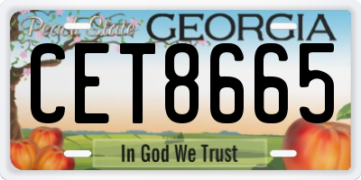 GA license plate CET8665