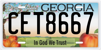 GA license plate CET8667