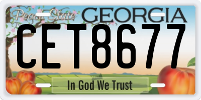 GA license plate CET8677