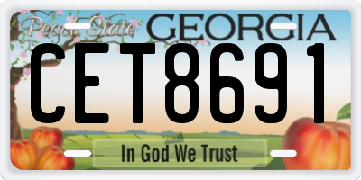 GA license plate CET8691
