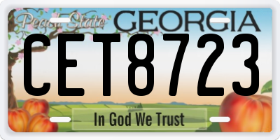 GA license plate CET8723