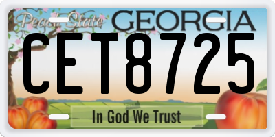 GA license plate CET8725