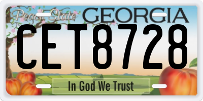 GA license plate CET8728