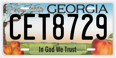 GA license plate CET8729
