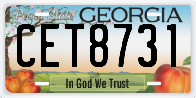 GA license plate CET8731