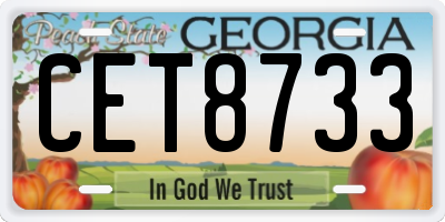 GA license plate CET8733