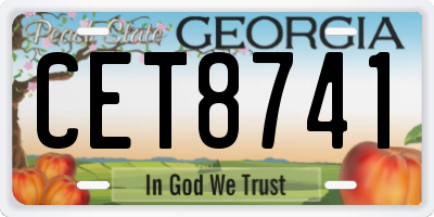 GA license plate CET8741