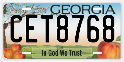 GA license plate CET8768