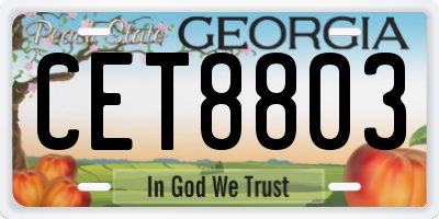 GA license plate CET8803