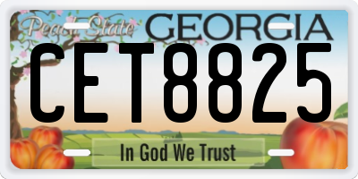 GA license plate CET8825
