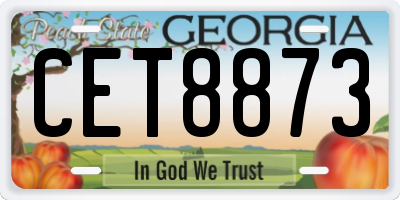 GA license plate CET8873