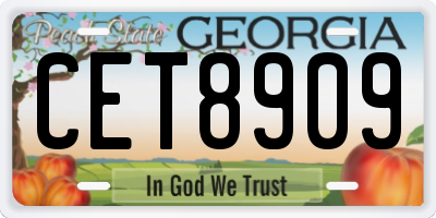 GA license plate CET8909