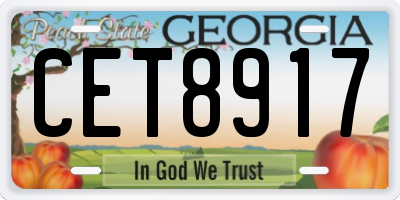 GA license plate CET8917