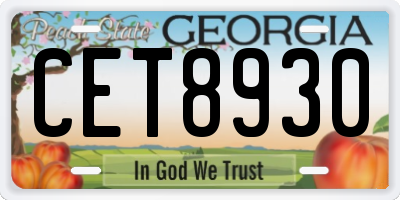 GA license plate CET8930