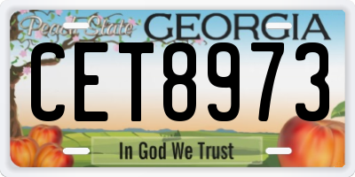 GA license plate CET8973