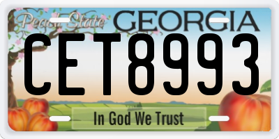 GA license plate CET8993