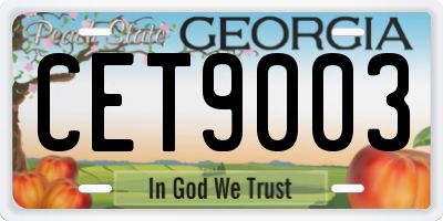 GA license plate CET9003