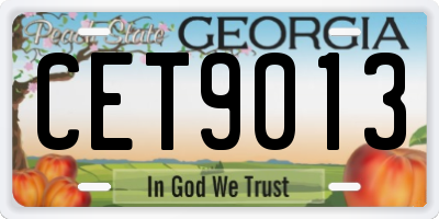 GA license plate CET9013