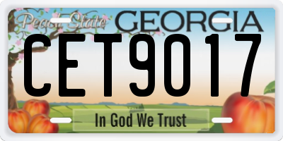 GA license plate CET9017