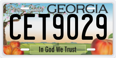 GA license plate CET9029