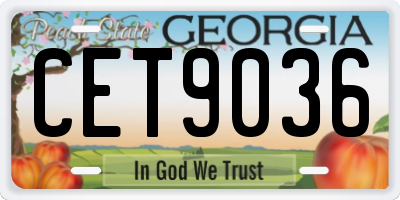 GA license plate CET9036