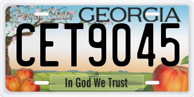 GA license plate CET9045
