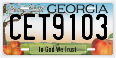 GA license plate CET9103