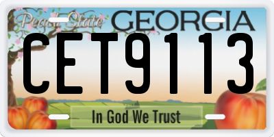 GA license plate CET9113