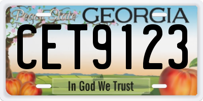 GA license plate CET9123