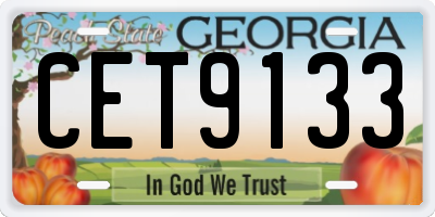 GA license plate CET9133