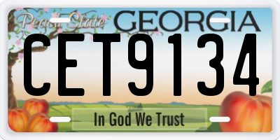 GA license plate CET9134