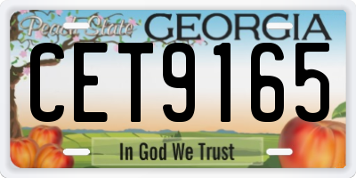 GA license plate CET9165