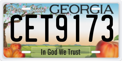 GA license plate CET9173