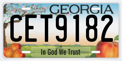GA license plate CET9182