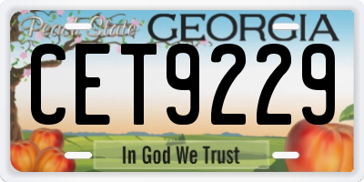 GA license plate CET9229
